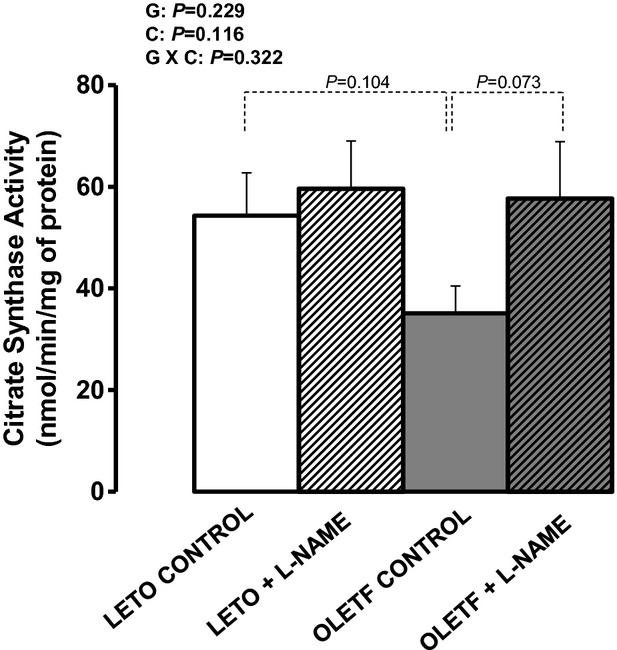 Figure 11.