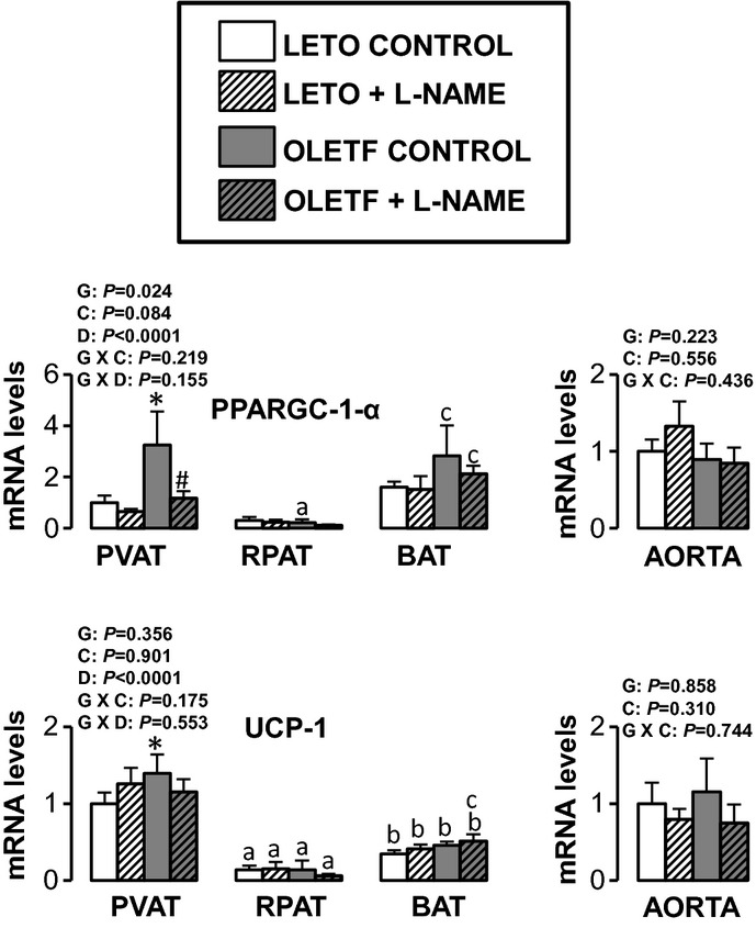 Figure 10.