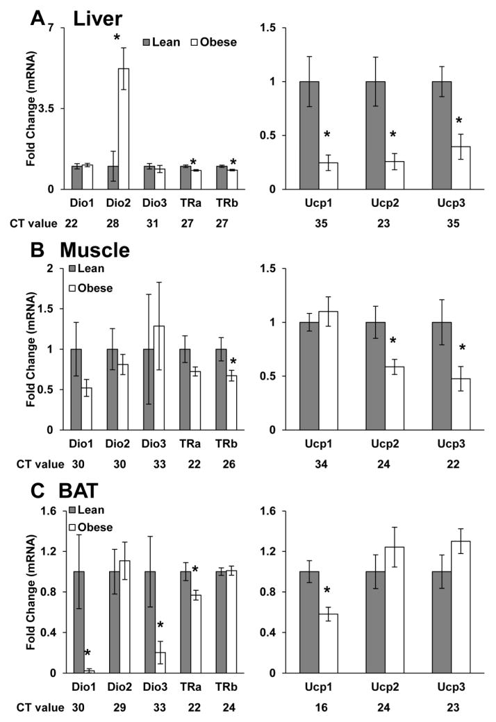 FIG 5