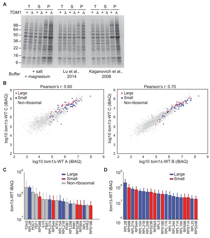 Figure 3—figure supplement 3.