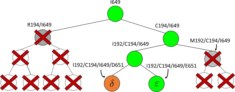 FIG. 2.