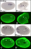 Fig. 11