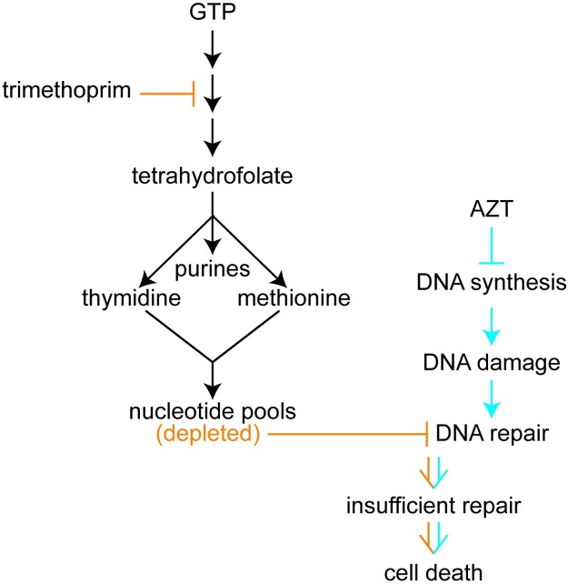 Fig 8