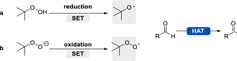 Scheme 8