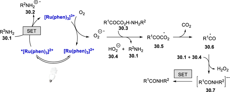 Scheme 30