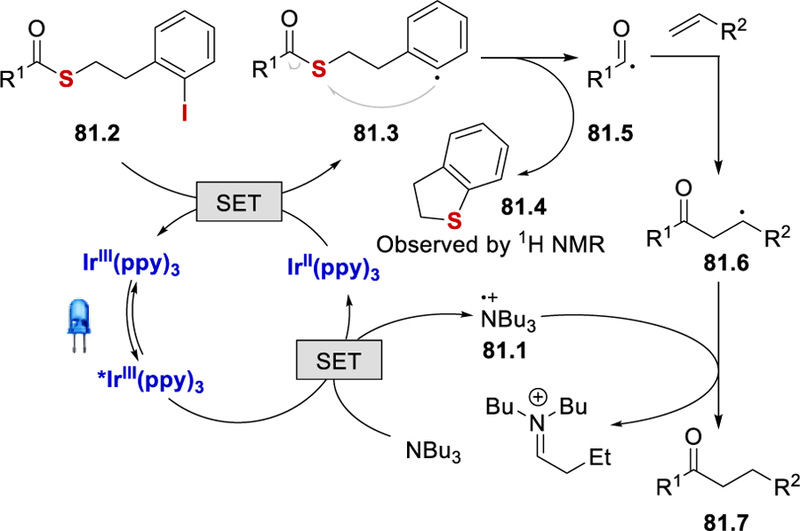 Scheme 81