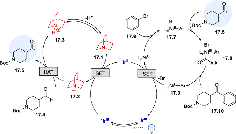 Scheme 17