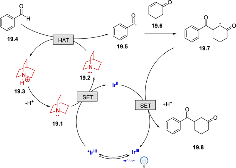 Scheme 19