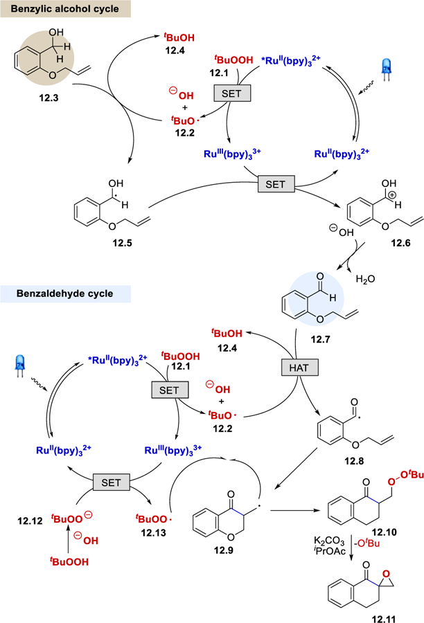 Scheme 12