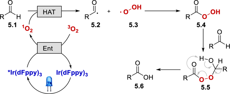 Scheme 5