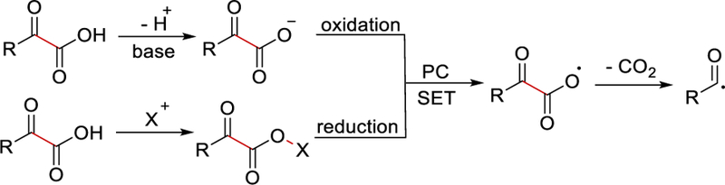 Scheme 28