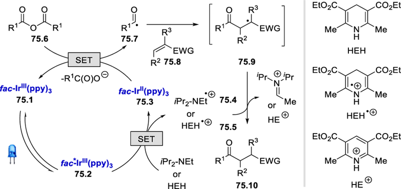 Scheme 75