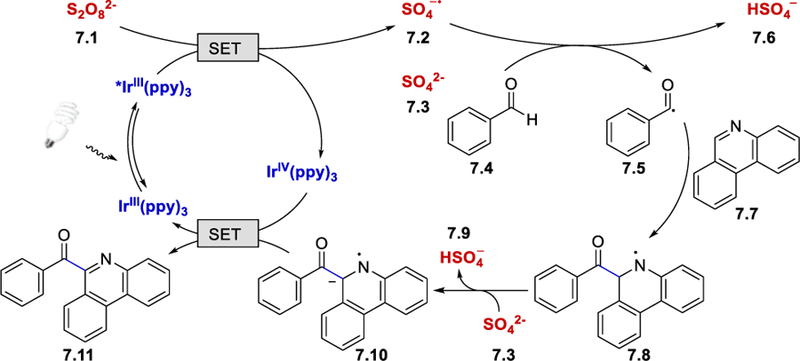 Scheme 7