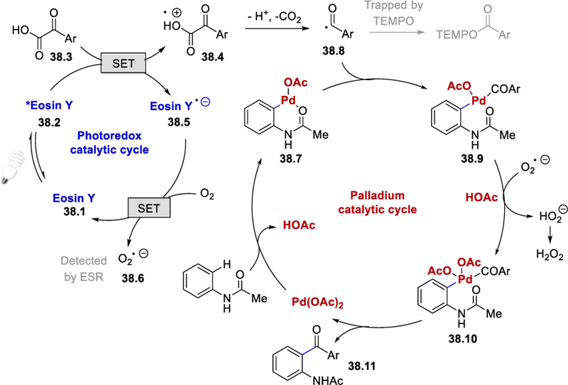 Scheme 38