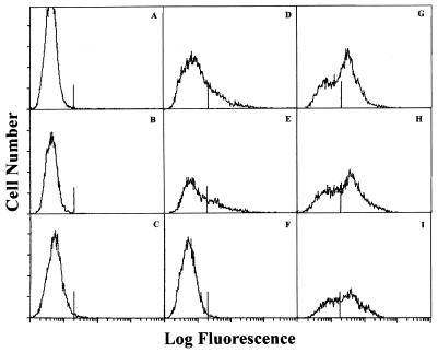 FIG. 5