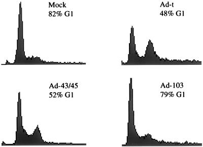 FIG. 7