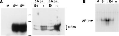 FIG. 6