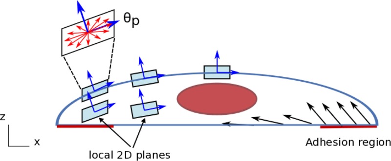 Fig. 2