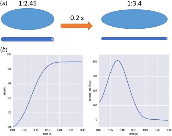 Fig. 13