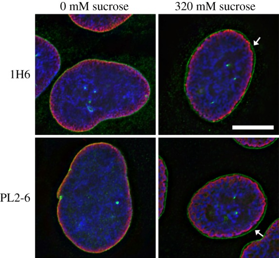 Figure 4.