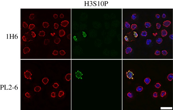 Figure 2.