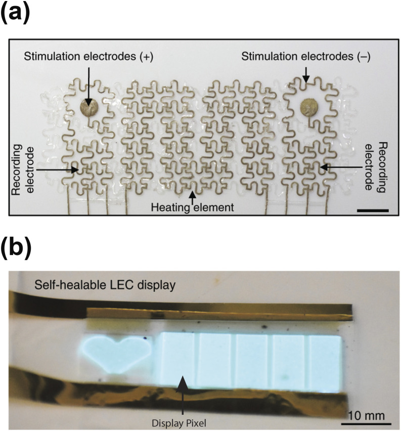 FIG. 2.