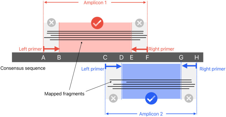 Figure 10: