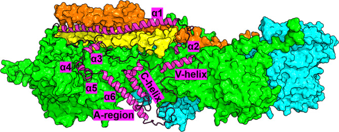 FIGURE 1