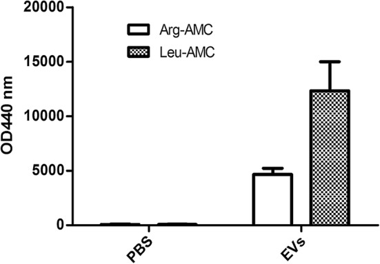 Fig. 6