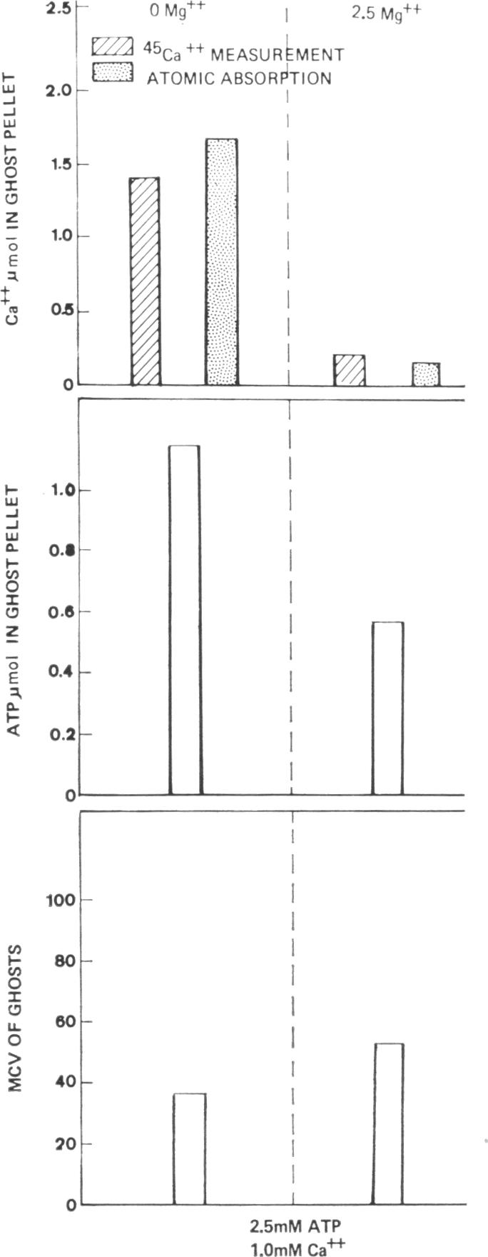 graphic file with name jcinvest00142-0028-a.jpg