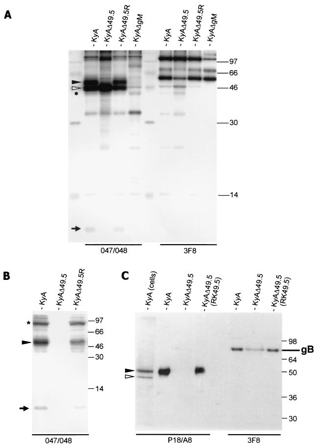 FIG. 3.