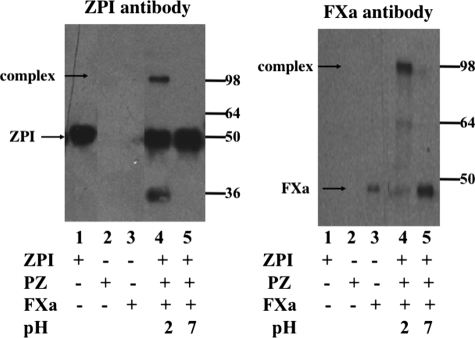 FIGURE 10.