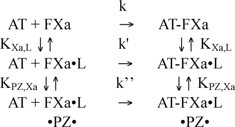 SCHEME 2