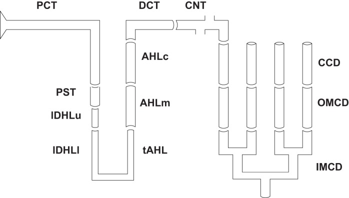 Fig. 1.