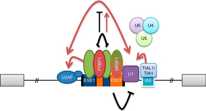 FIGURE 7.