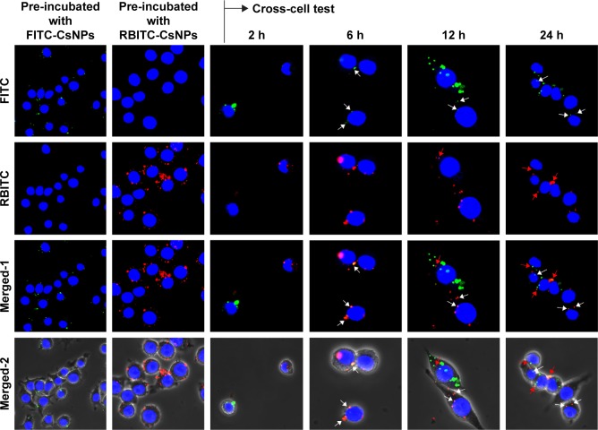 Figure 11