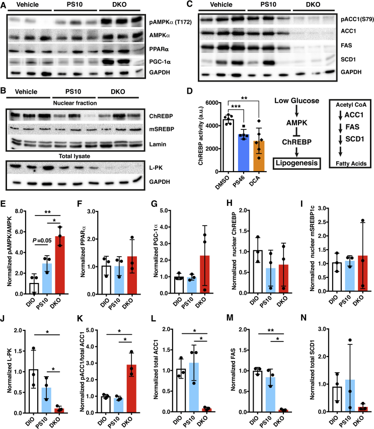 Figure 7