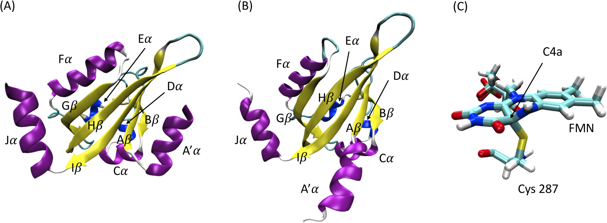 Figure 1: