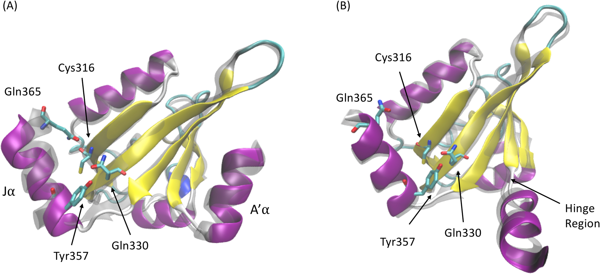 Figure 6: