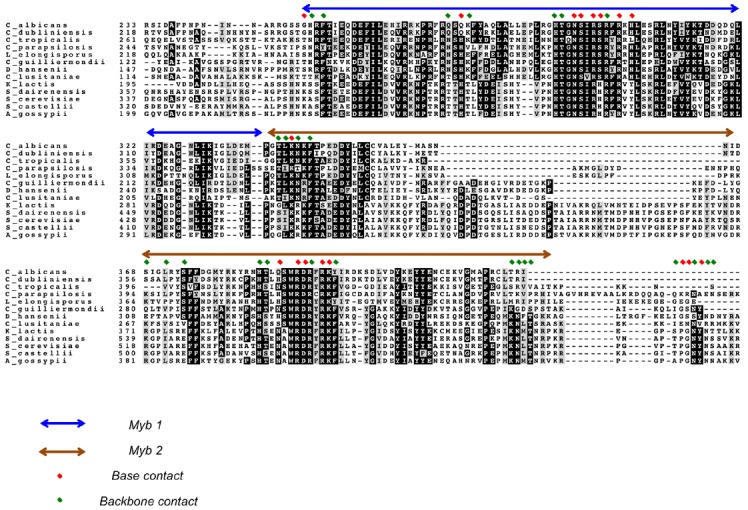 FIGURE 3