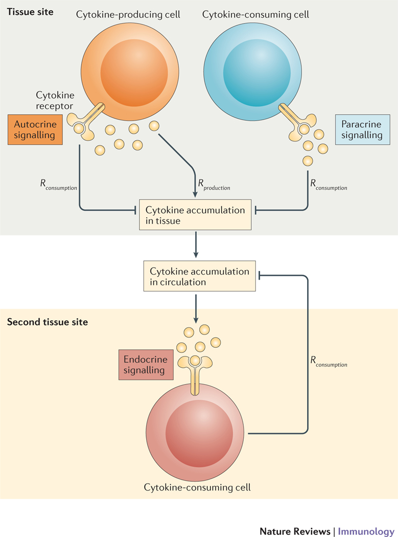 Figure 1 |