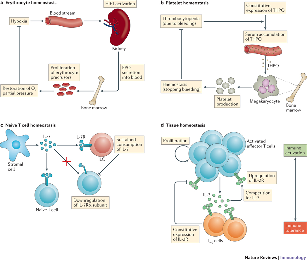 Figure 4 |