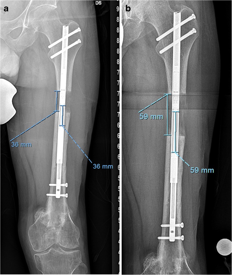 Fig. 5