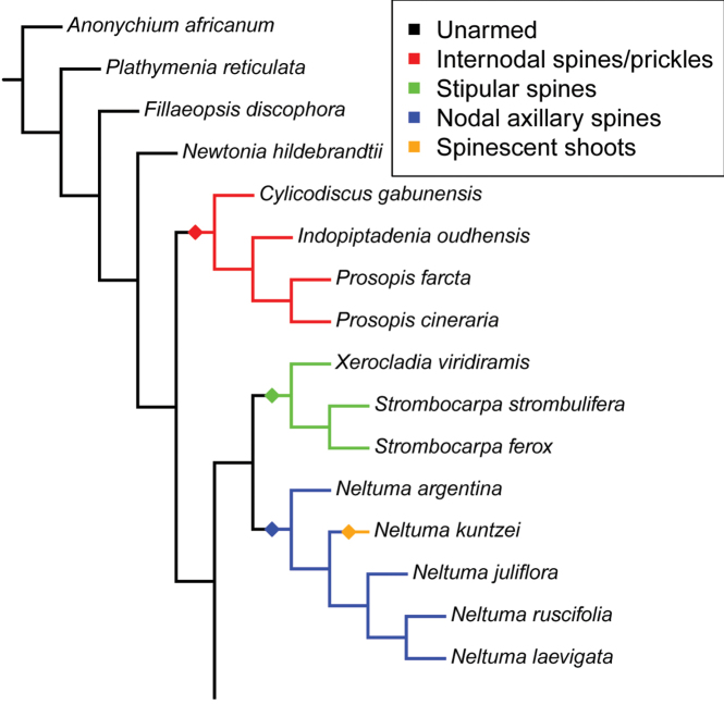 Figure 4.