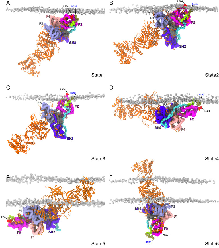 Figure 4—figure supplement 3.