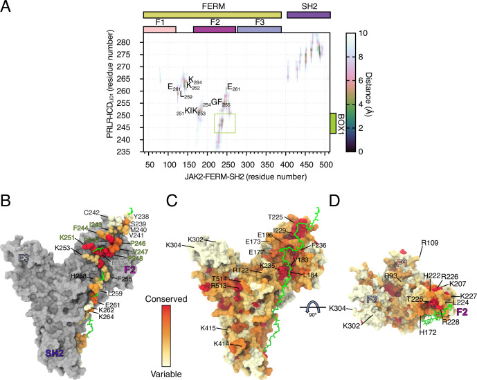 Figure 4—figure supplement 1.