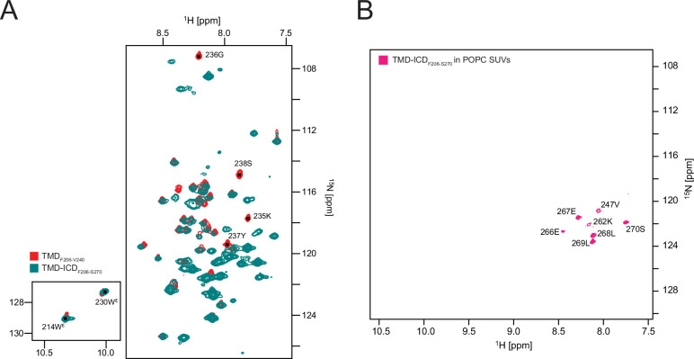 Figure 2—figure supplement 1.