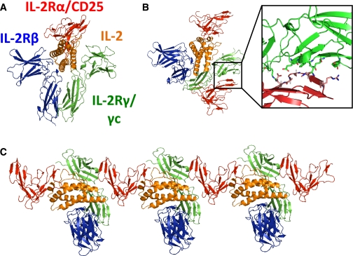 FIG. 2.