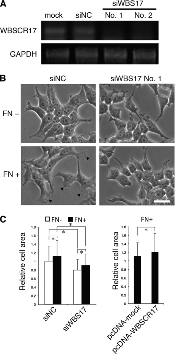 FIGURE 4.