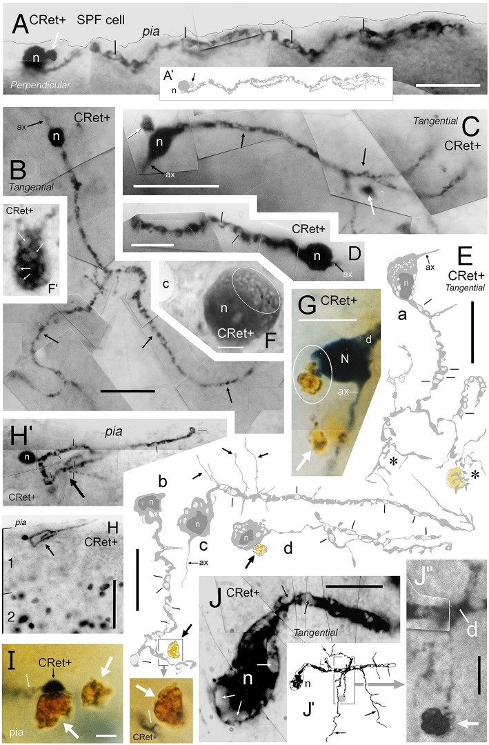 Figure 13